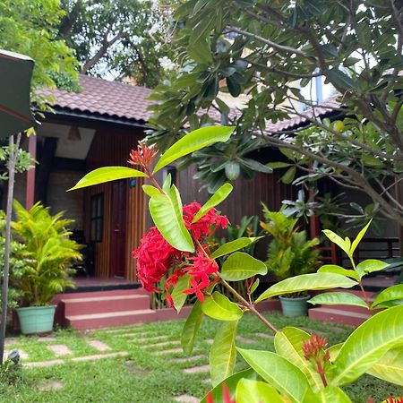 Habana Angkor Boutique Hotel 시엠리아프 외부 사진