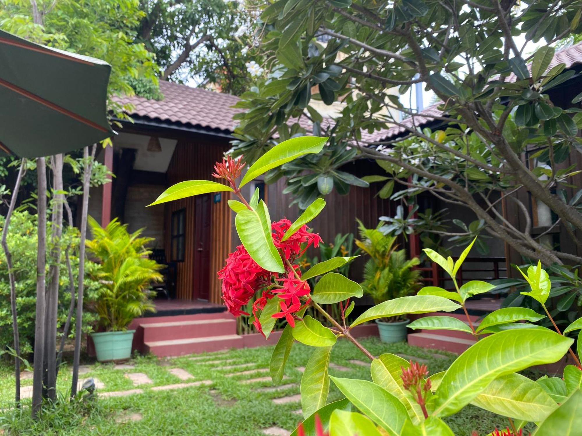 Habana Angkor Boutique Hotel 시엠리아프 외부 사진
